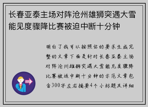 长春亚泰主场对阵沧州雄狮突遇大雪能见度骤降比赛被迫中断十分钟